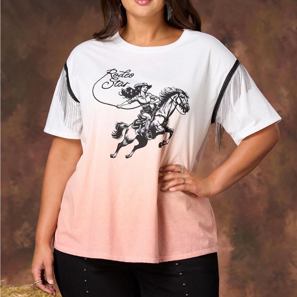 Rodeo Star metal fridge Top